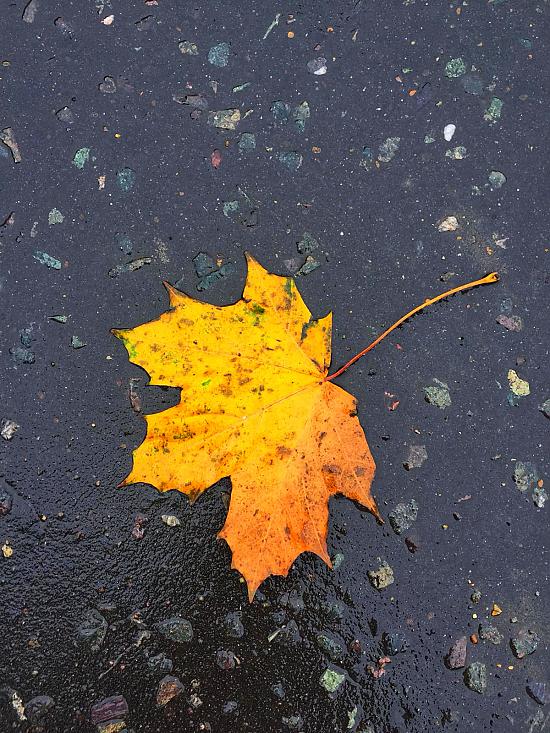 Rudens.