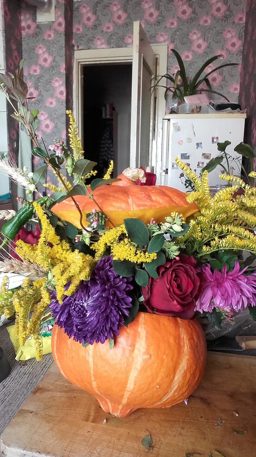 Autors: PiparmÄtra11 Haloween
