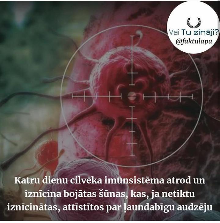 Autors: Bitchere Vai Tu zināji? (17. daļa)