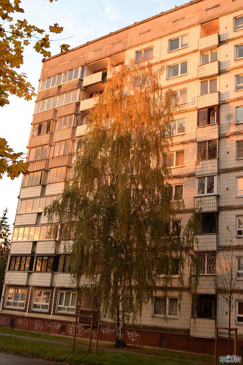 Autors: Strāvonis Rīga, mikrorajons