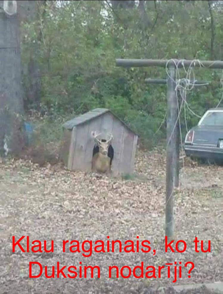 Autors: Charged Iespējams, uzlabos GARASTĀVOKLI.