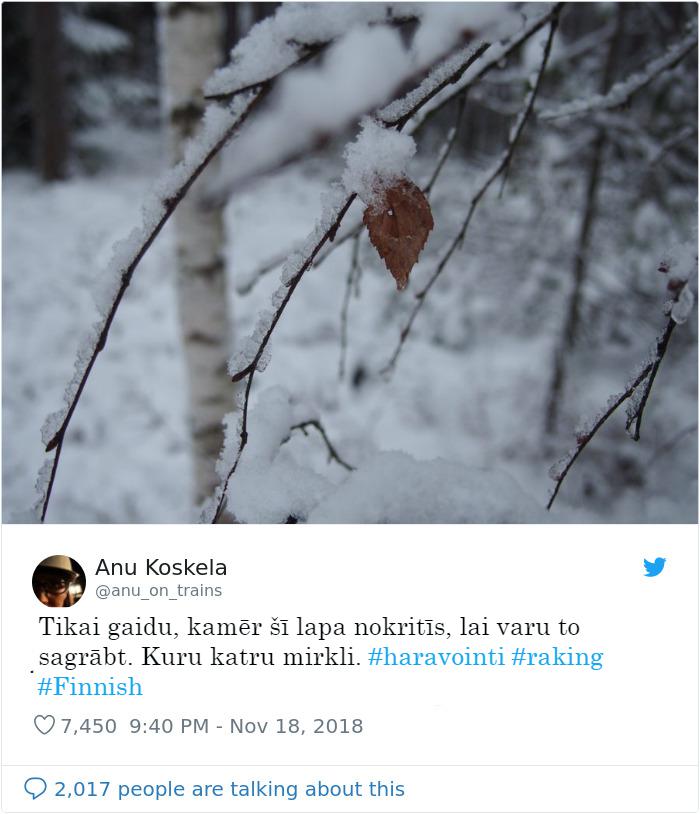 Autors: Latvian Revenger Tramps atkal izceļās - viņaprāt somi novērš mežu ugunsgrēkus, grābjot lapas