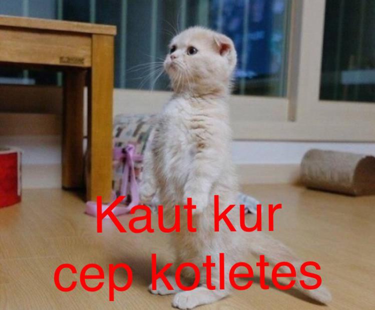 Autors: Charged Ieskaties, lai labāks noskaņojums.