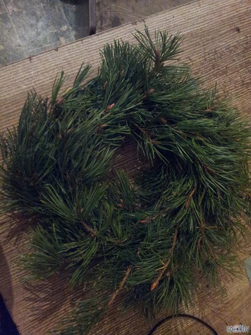 Spurainis gatavs Autors: minkas2014 Adventes dekors