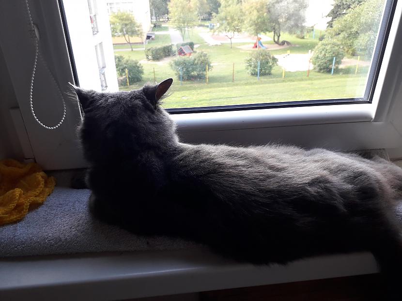 Autors: Griffith 2018. gada atvaļinājums, 5. septembris.