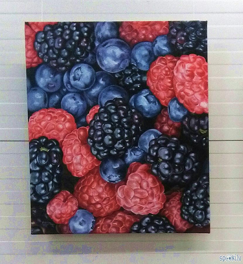 60x70 cm eļļas krāsas... Autors: Altofobija Radījumi un neradījumi 6