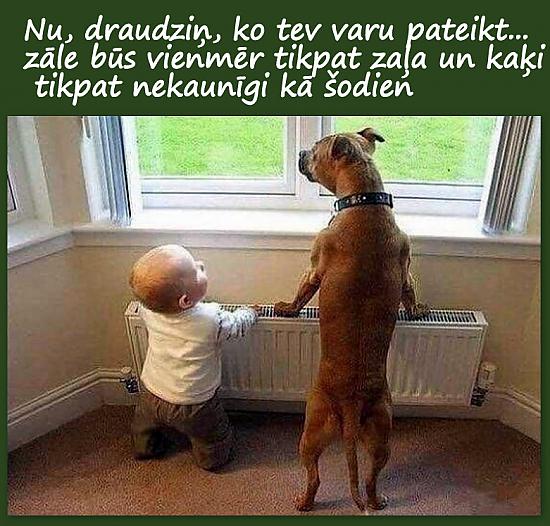 Ko sola 2019. gads