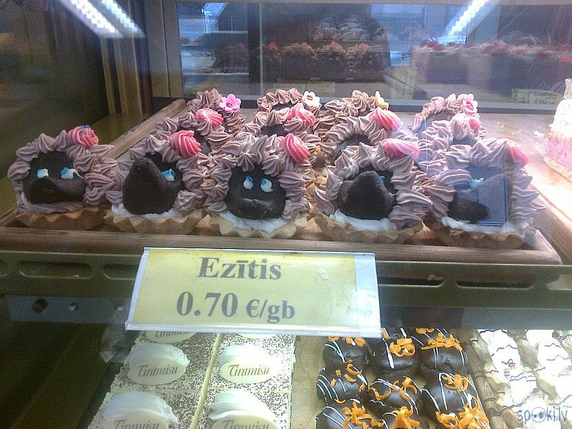 Oiii Mazuļiem... Autors: ezkins Ziemīgie klejojumi