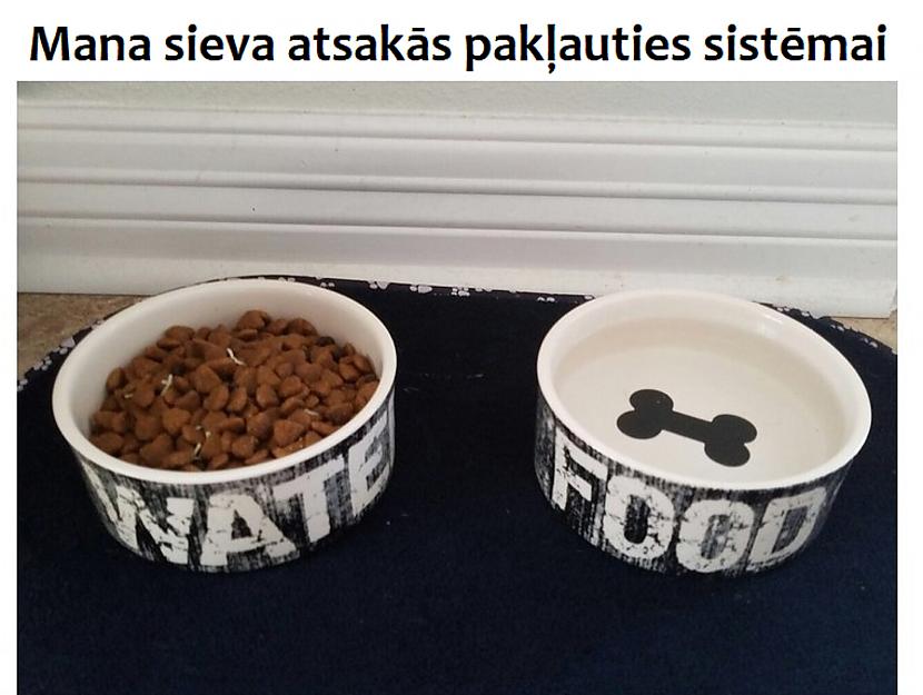 Autors: The Diāna 24 foto, kuri pierāda, ka vīrieši un sievietes nāk no pilnīgi dažādām pasaulēm