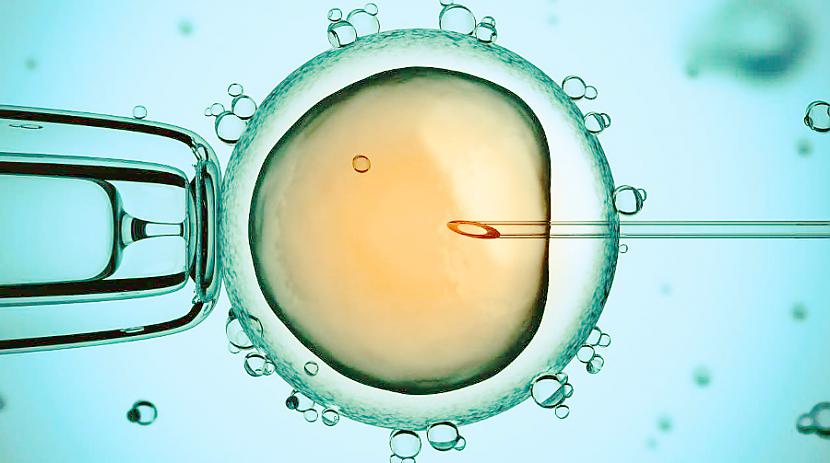Autors: Strāvonis Protesti pret abortiem