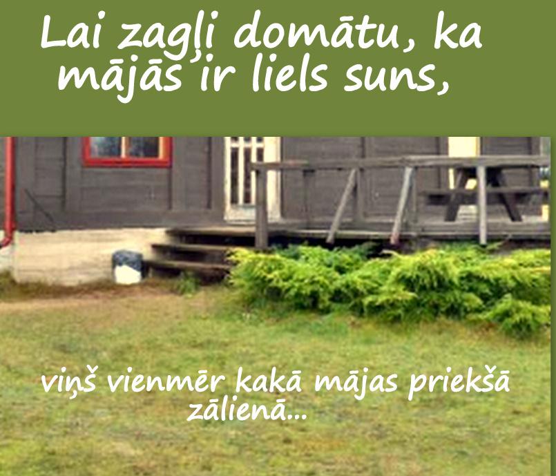 Autors: rasiks Dažādas bildītes