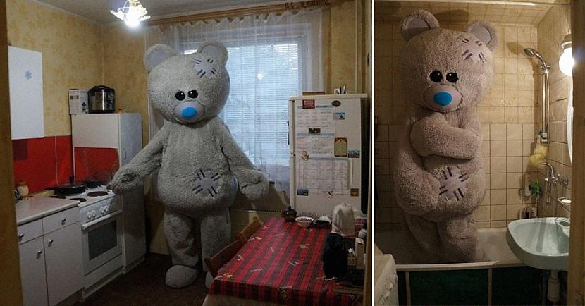 Scaronis sludinājums tapis... Autors: matilde Šis, iespējams, ir labākais dzīvokļa izīrēšanas sludinājums internetā
