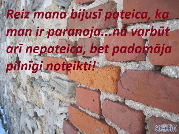 Spoki joko