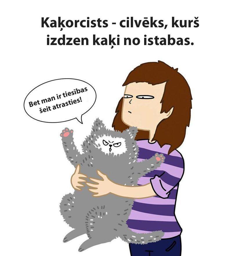Kaķi vienmēr domās ka ir... Autors: matilde Komiksi, kas atklāj patieso dzīvi, ja mājās ir vismaz 2 kaķi