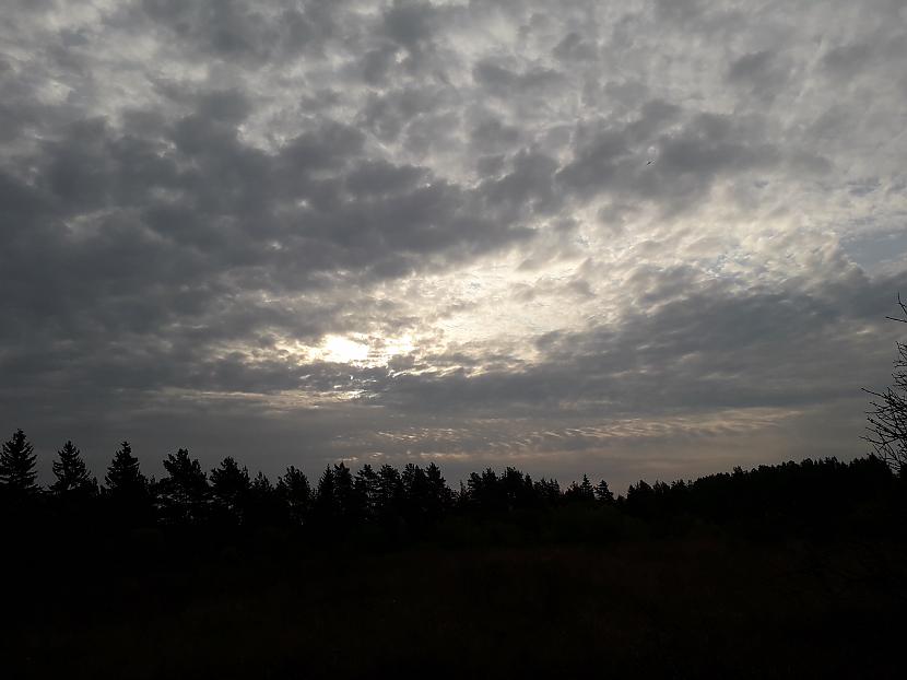 Autors: Griffith 2018. gada atvaļinājums, 9. septembris.