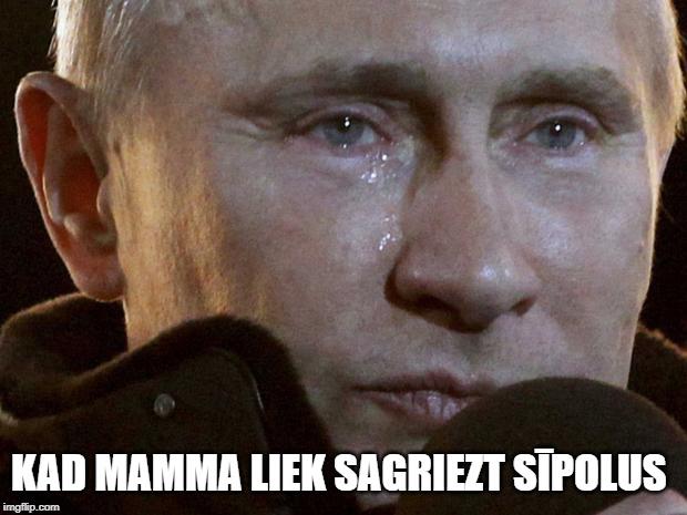 Autors: Surums Daudz dažādas memītes par visu ko!