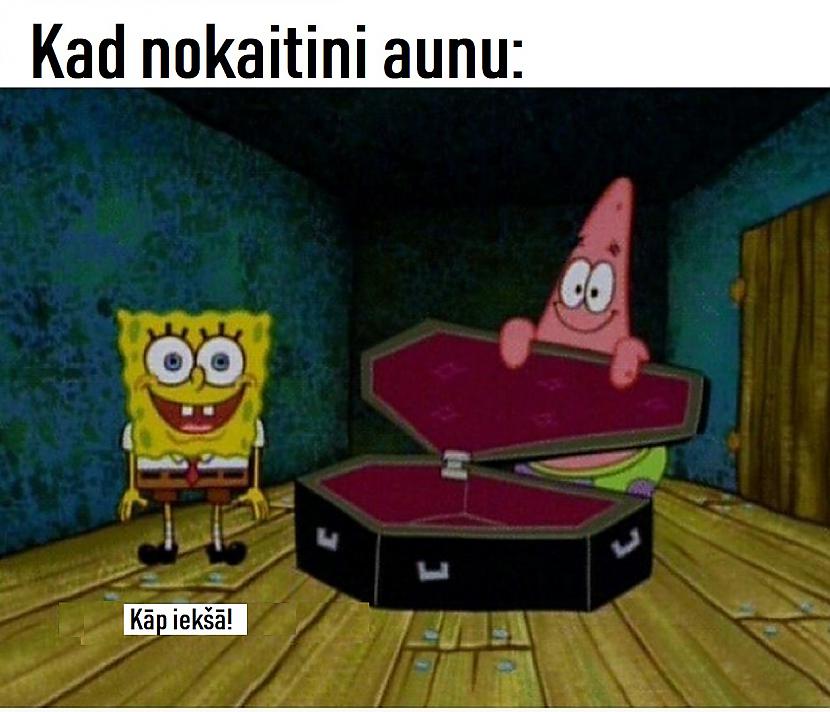 Autors: The Diāna Memes par AUNIEM