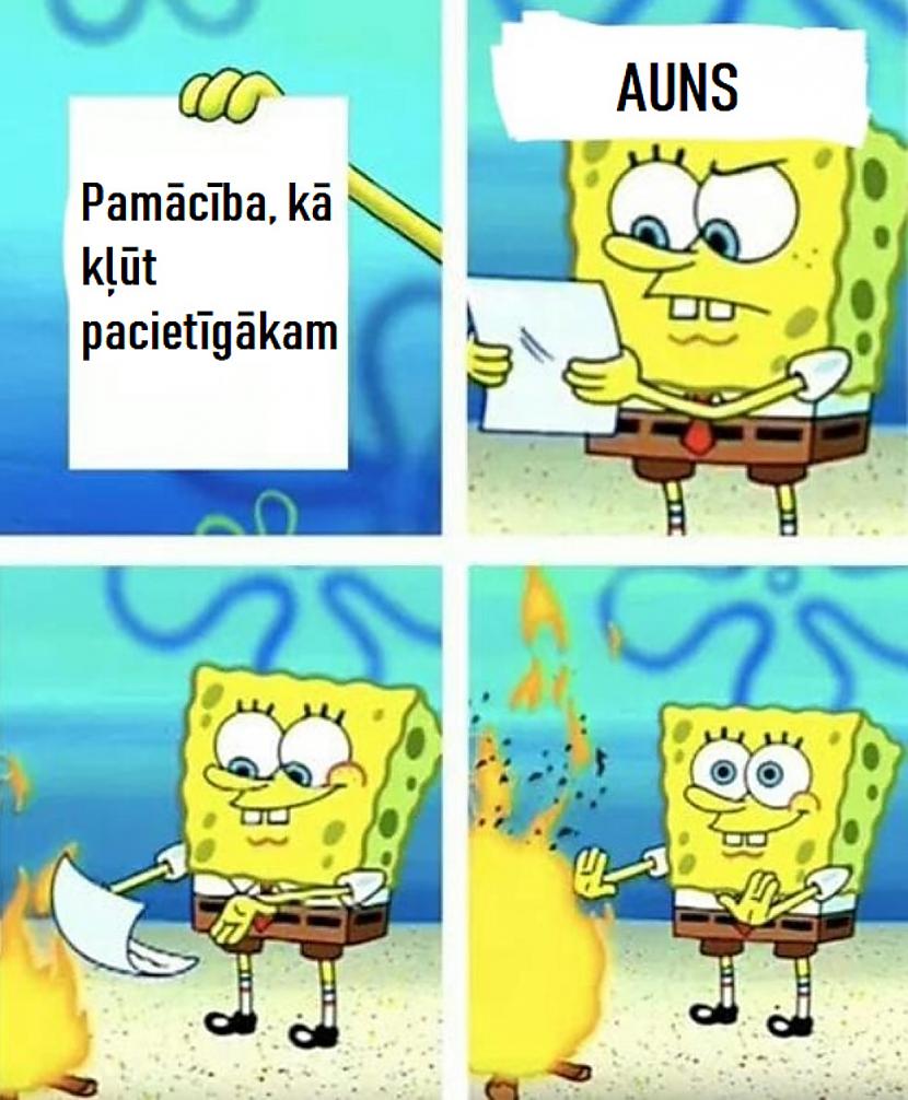 Autors: The Diāna Memes par AUNIEM