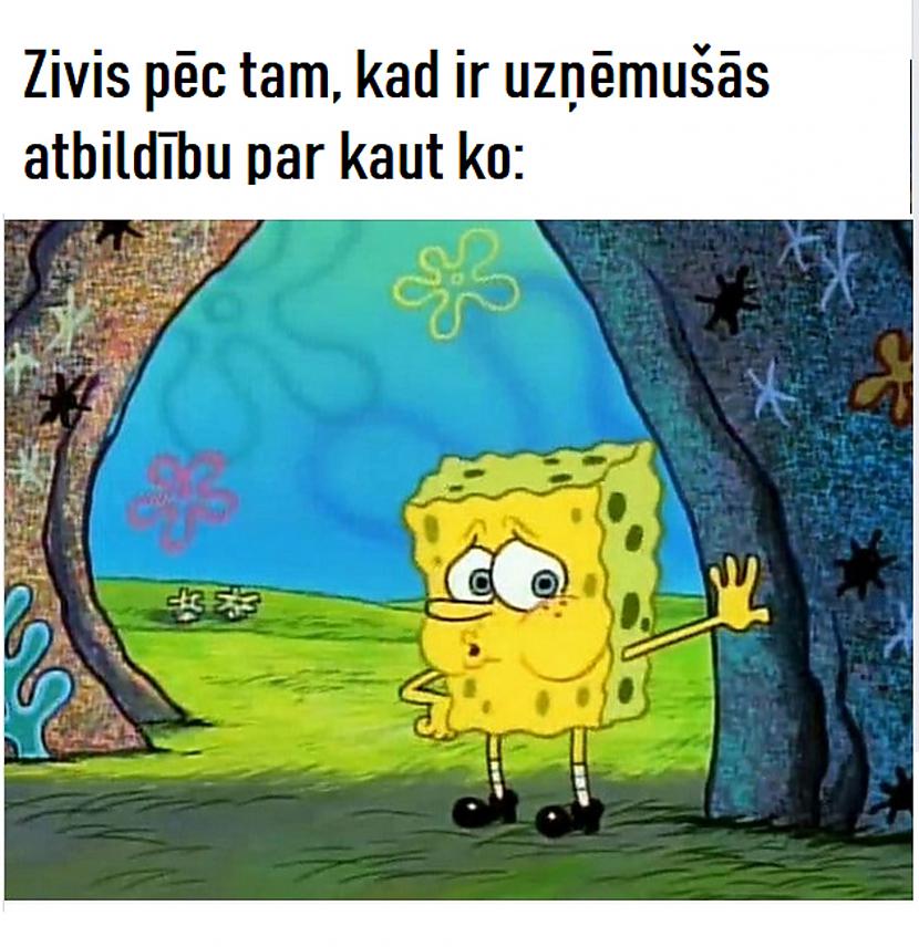 Autors: The Diāna Memes par ZIVĪM