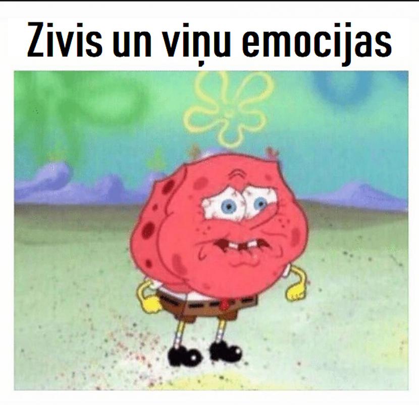 Autors: The Diāna Memes par ZIVĪM
