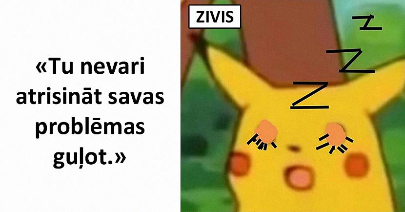 Autors: The Diāna Memes par ZIVĪM
