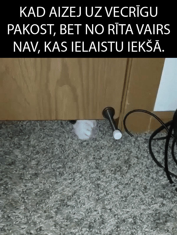 Autors: Dzerbudists Noskaidroti patiesie Ušakova atstādināšanas cietušie