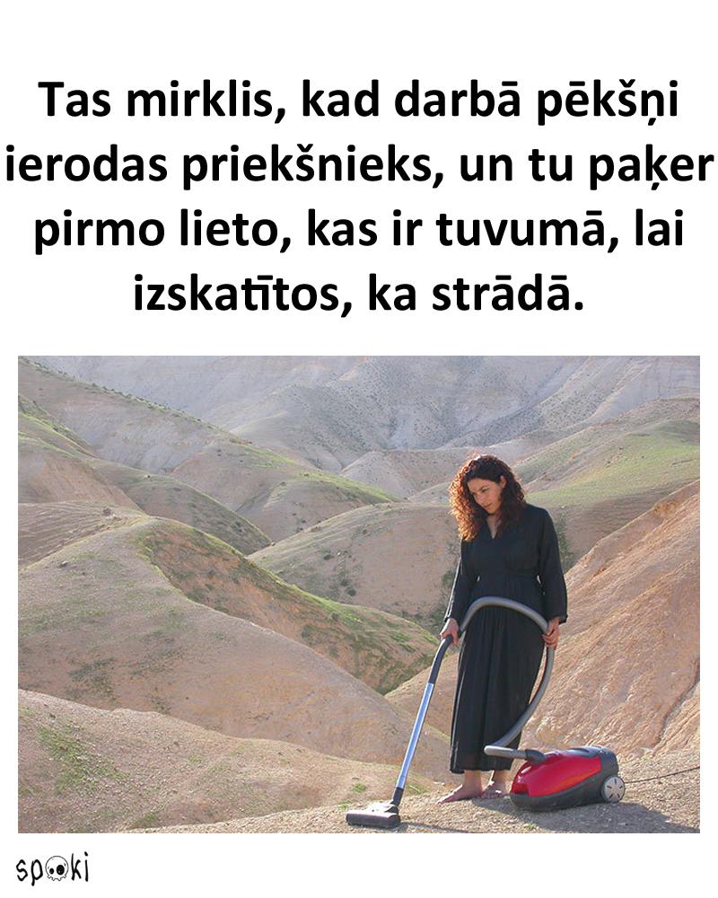 Autors: matilde Smieklīgas memītes par priekšniekiem darbā