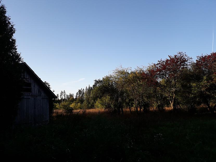 Autors: Griffith 2018. gada atvaļinājums, 14. septembris. Pēdējā daļa.