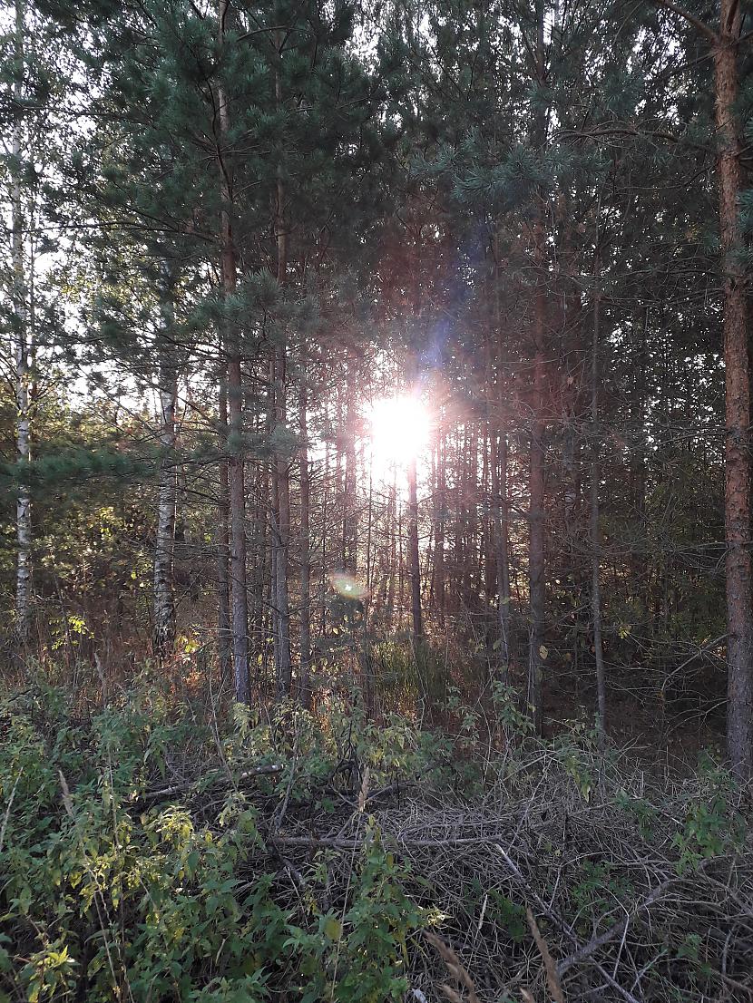 Autors: Griffith 2018. gada atvaļinājums, 14. septembris. Pēdējā daļa.