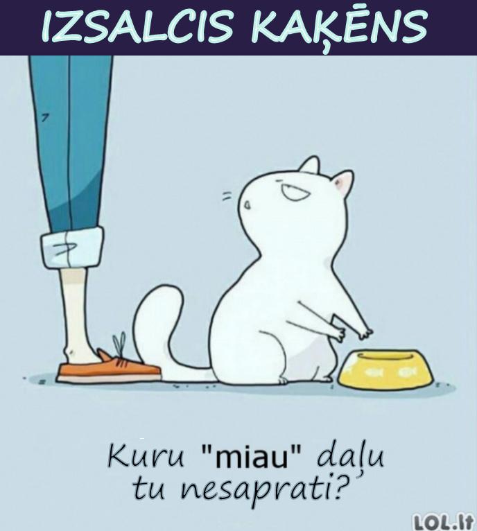 Autors: rasiks Atkal dažādi bilžuki