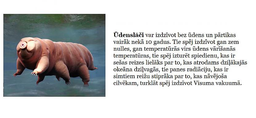 Autors: The Diāna Izglītojies: 10 attēli, kuri padarīs tevi mazliet gudrāku