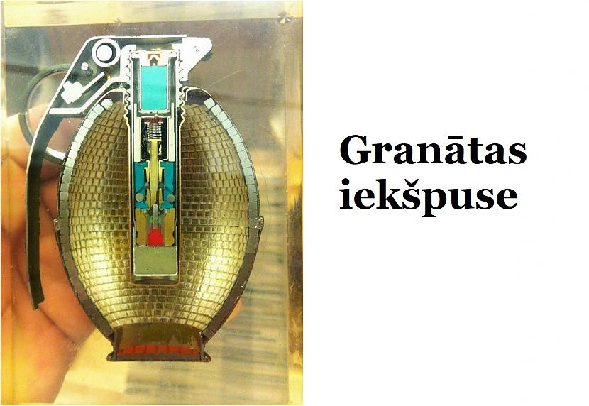 Autors: The Diāna Izglītojies: 10 attēli, kuri padarīs tevi mazliet gudrāku