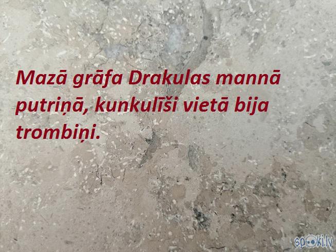 Spoki joko