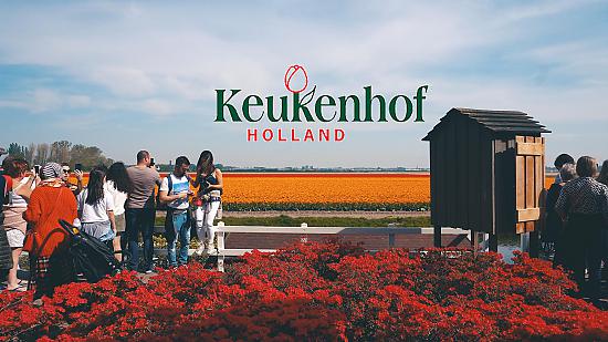 Keukenhof Lisse Flower Festival Puķu festivāls Holandē