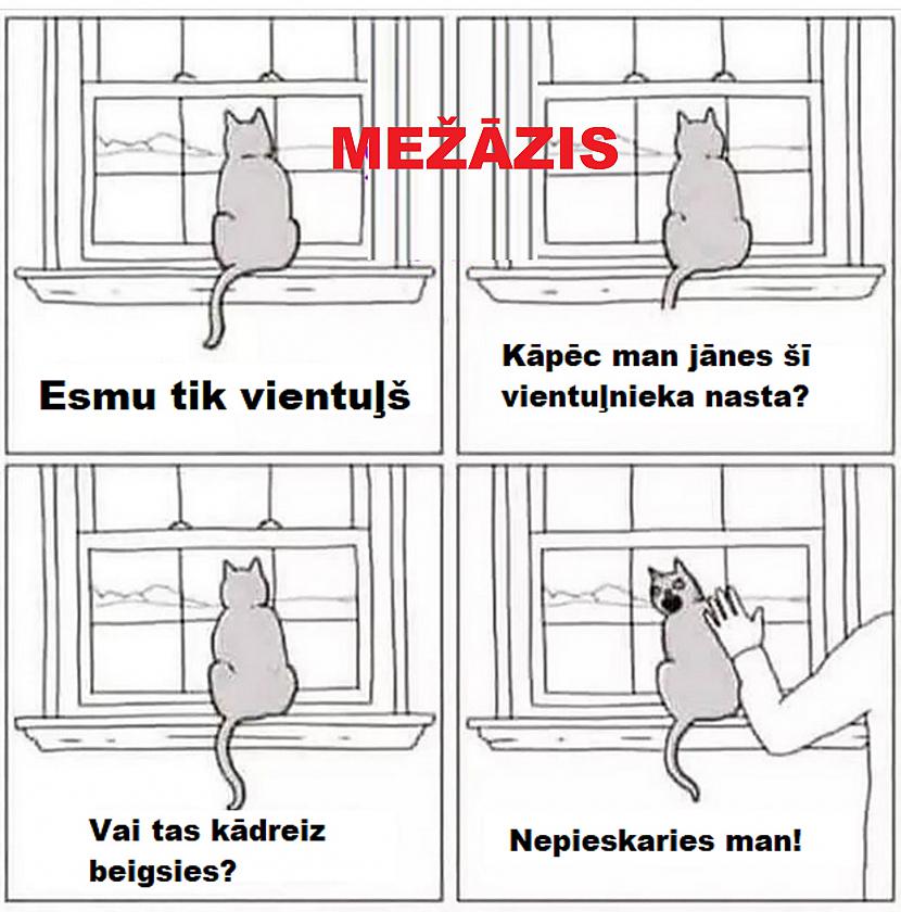 Autors: The Diāna Memes par MEŽĀŽIEM
