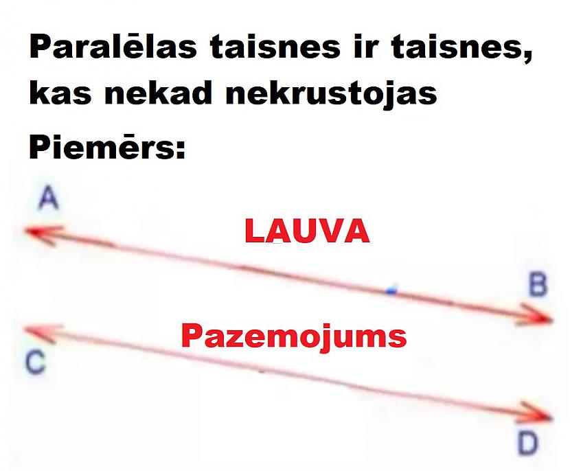 Autors: The Diāna Memes par LAUVĀM