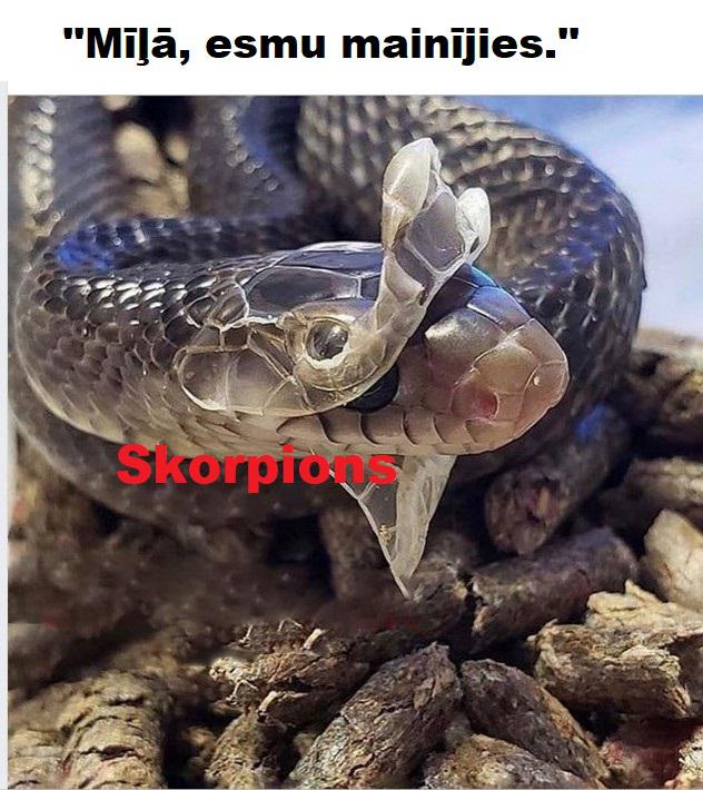 Autors: The Diāna Memes par SKORPIONIEM