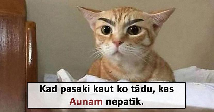 Auns21 marts ndash 20... Autors: The Diāna Memītes par visām zodiaka zīmēm