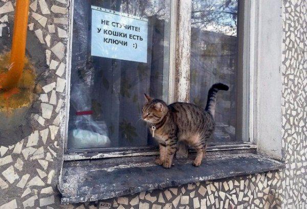 Autors: es tēvocis Only In Russia #2