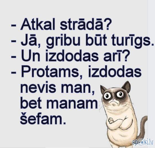 Spoki joko