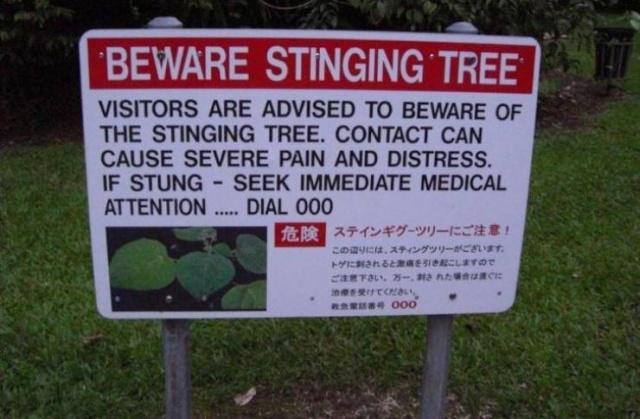 Autors: es tēvocis Laipni lūgti Austrālijā.