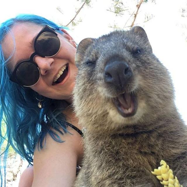 Autors: es tēvocis Laipni lūgti Austrālijā.