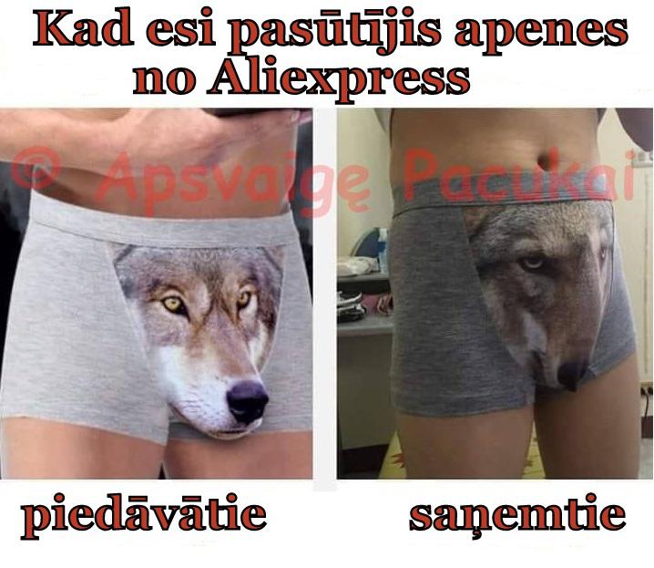 Autors: rasiks Kaimiņu jociņi