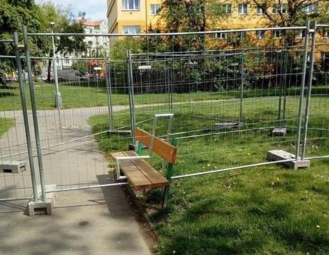 GÄju es scaronodien pa ielu ... Autors: es tÄvocis Asorti ar tekstu Å”odienai (17.05.2019)š