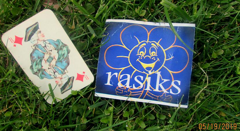 Autors: rasiks FS zaļa zāle un spēļu kārts.