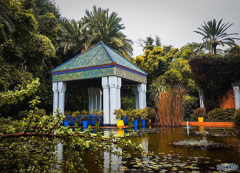 Majorelle dārzs Marakescarona Autors: The Travel Snap 4 dienas MAROKĀ