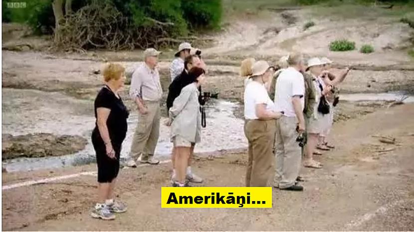 Autors: The Diāna Vai atceries ''Gāzi Grīdā''? Apskati šos citātus!