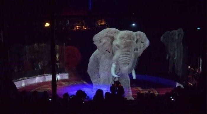 nbspPats cirks savu darbību... Autors: matilde Vācijā īstu dzīvnieku vietā cirks izmanto hologrammas