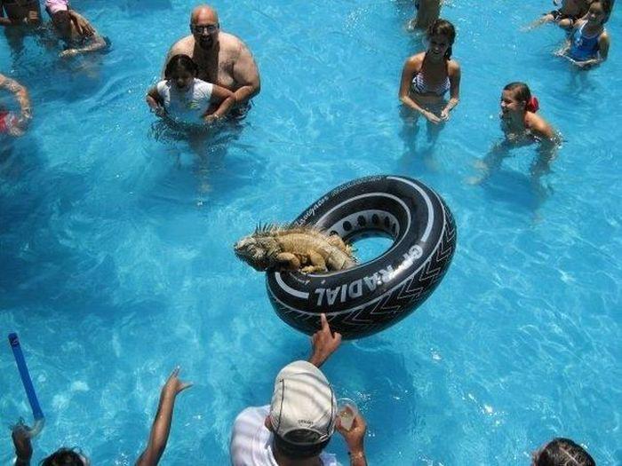 SkolotājaBērnija kāds no... Autors: es tēvocis Asorti ar tekstu šodienai (09.06.2019)😉