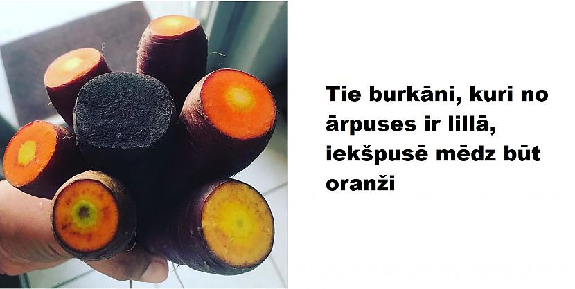 Autors: The Diāna 20 interesanti attēli, kurus ir vērts apskatīt
